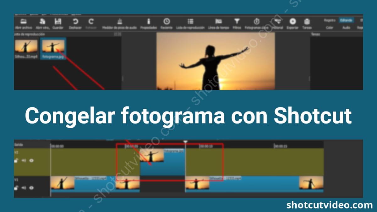 Tutorial - congelar fotograma Shotcut