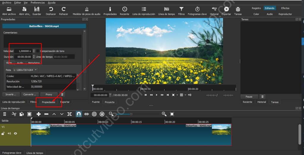 Paso 2: Modificar propiedades