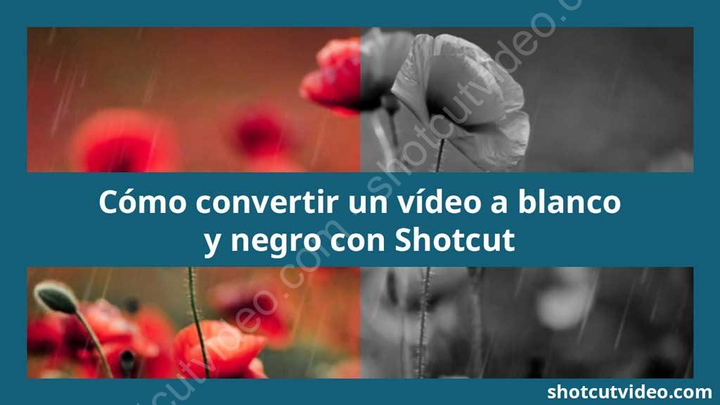 Tutorial convertir vídeo a blanco y negro